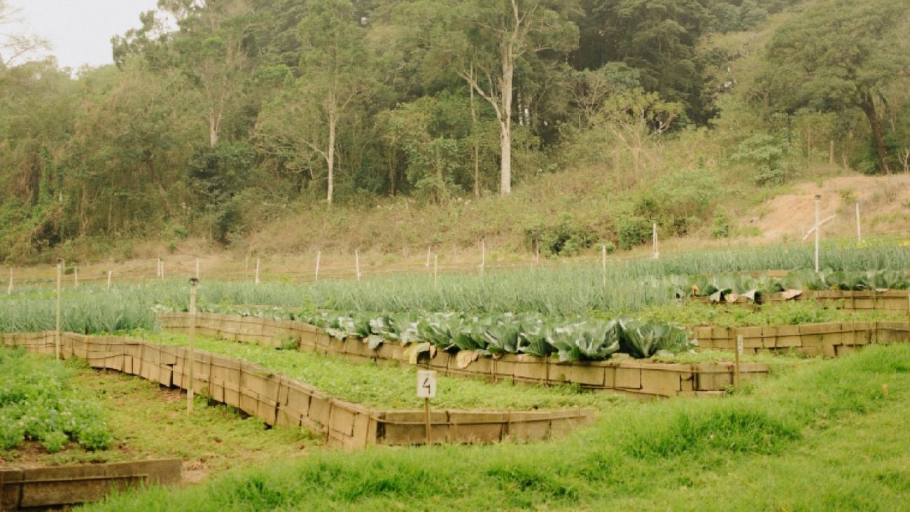 Empowering Educators_ Our Commitment to the Teaching Fraternity