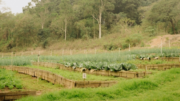 Empowering Educators_ Our Commitment to the Teaching Fraternity