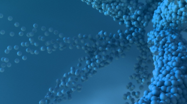 The Role of Phyto Compounds in Modern Healthcare